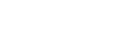Perin Discovery Logo white text